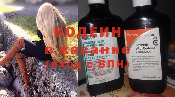 гидра Абаза